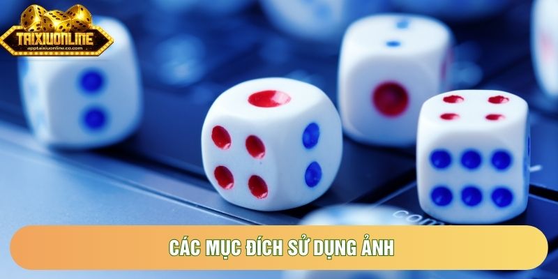 Các mục đích sử dụng ảnh
