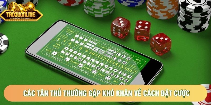 Các tân thủ thường gặp khó khăn về cách đặt cược