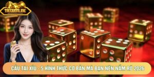 Cầu Tài Xỉu - 5 Hình Thức Cơ Bản Mà Bạn Nên Nắm Rõ 2026