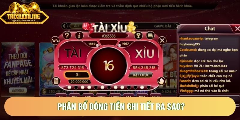 Phân bổ dòng tiền chi tiết ra sao?